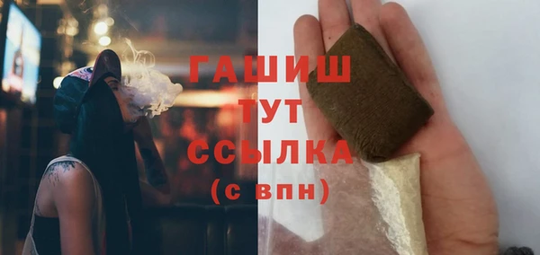 сатива Шадринск