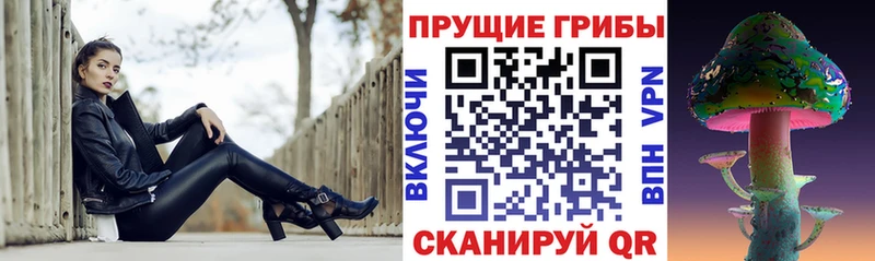 Псилоцибиновые грибы Cubensis  цены наркотик  Кувшиново 
